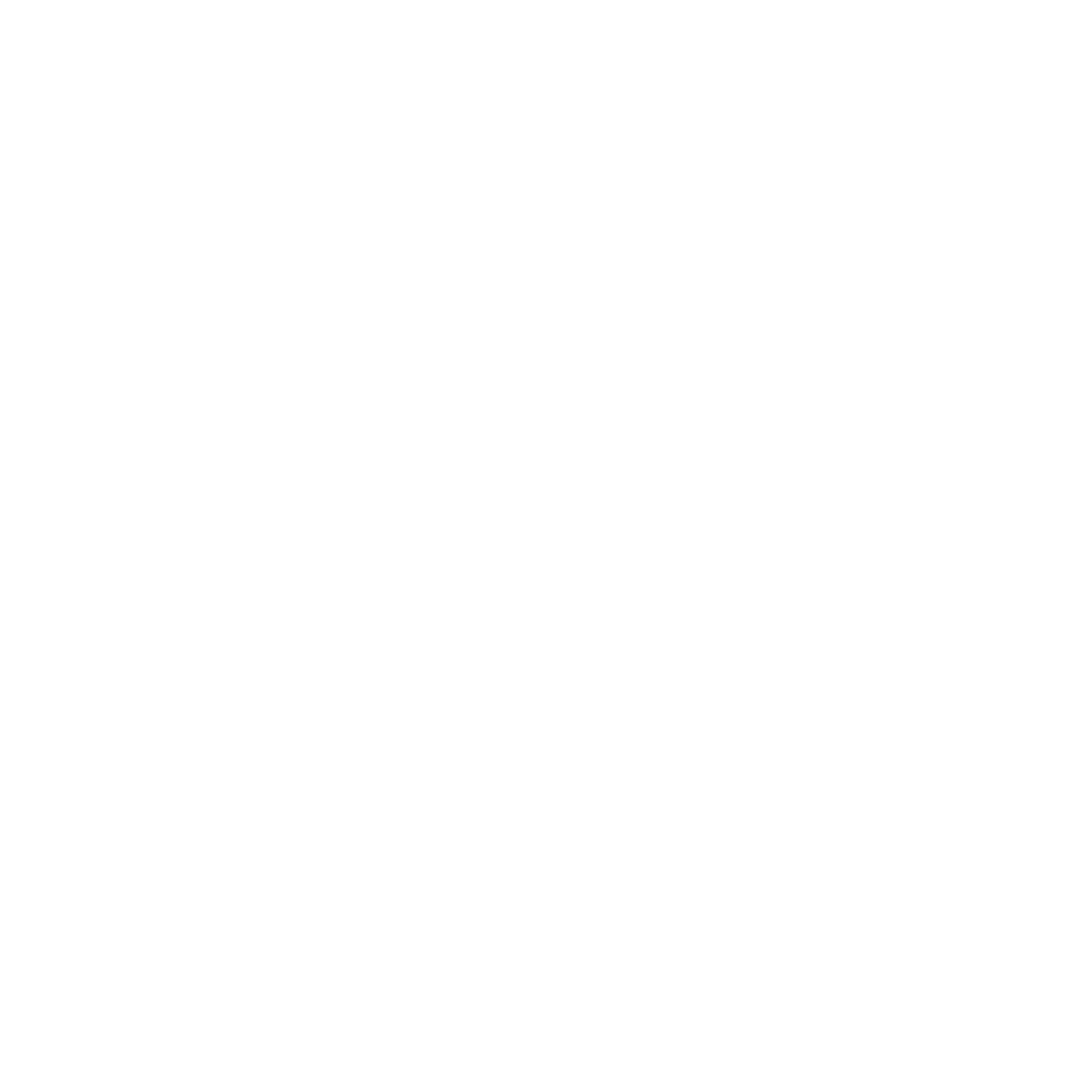 Career Report